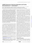 Research paper thumbnail of CaMKII Autonomy Is Substrate-dependent and Further Stimulated by Ca2+/Calmodulin