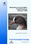 Research paper thumbnail of Monitoring of Lesser White- fronted Goose in Norway in 2006