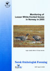 Research paper thumbnail of Monitoring of Lesser White-fronted Goose in Norway in 2005