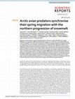 Research paper thumbnail of Arctic avian predators synchronise their spring migration with the northern progression of snowmelt