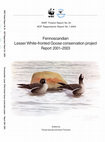 Research paper thumbnail of Fennoscandian Lesser White-fronted Goose conservation project