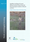 Research paper thumbnail of Satellite tracking of Lesser White-fronted Geese from the East-European tundra in Russia