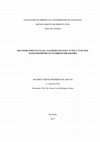 Research paper thumbnail of Facial recognition in social networking services and the protection of biometric data in Brazilian private law