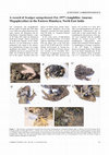 Research paper thumbnail of A Record of Scutiger nyingchiensis Fei, 1977 (Amphibia:Anuran:Megophryidae) in the Eastern Himalaya, North East India