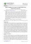 Research paper thumbnail of Impact of lopping on tree species of tropical Indian forests