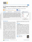 Research paper thumbnail of CO<sub>2</sub> Activation and Hydrogenation by Palladium Hydride Cluster Anions