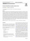 Research paper thumbnail of Devonian-Carboniferous boundary sections in Iran