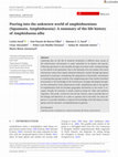 Research paper thumbnail of Peering into the unknown world of amphisbaenians (Squamata, Amphisbaenia): A summary of the life history of Amphisbaena alba