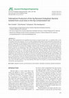 Research paper thumbnail of Siderophore Production of the Hg-Resistant Endophytic Bacteria Isolated from Local Grass in the Hg-Contaminated Soil