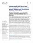 Research paper thumbnail of Genome editing of an African elite rice variety confers resistance against endemic and emerging Xanthomonas oryzae pv. oryzae strains