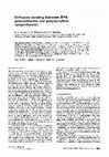 Research paper thumbnail of Diffusion bonding between BPA polycarbonate and poly(butylene terephthalate)