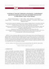 Research paper thumbnail of Archaeology in "stone line" sedimentary environments. A methodological approach and results based on the Early and Middle Pleistocene sites at Melka Kunture (Upper Awash, Ethiopia)