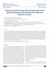 Research paper thumbnail of Detection of Escherichia Coli in Freshly HarvestedSpinach Samples Collected from Five DifferentMarkets in Zaria