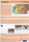 Research paper thumbnail of A propósito de uma peça de importação mediterrânica do Castro Máximo, Braga