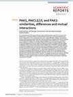 Research paper thumbnail of PAK1, PAK1Δ15, and PAK2: similarities, differences and mutual interactions