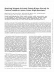 Research paper thumbnail of Rewiring Mitogen-Activated Protein Kinase Cascade by Positive Feedback Confers Potato Blight Resistance