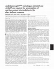 Research paper thumbnail of Arabidopsis gp91 phox homologues AtrbohD and AtrbohF are required for accumulation of reactive oxygen intermediates in the plant defense response