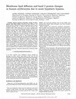 Research paper thumbnail of Membrane lipid diffusion and band 3 protein changes in human erythrocytes due to acute hypobaric hypoxia