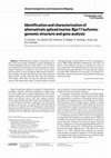 Research paper thumbnail of Identification and characterization of Alternaria alternata causing leaf spot of olive tree ( Olea europaea ) in Turkey