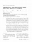 Research paper thumbnail of Los ‘hallazgos excepcionales’ de Iruña-Veleia (Álava): sintaxis de una falsificación arqueológica