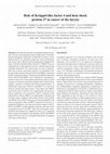 Research paper thumbnail of Role of Krüppel-like factor 4 and heat shock protein 27 in cancer of the larynx