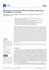 Research paper thumbnail of Mechanisms of Activation of Brain’s Drainage during Sleep: The Nightlife of Astrocytes