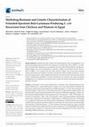 Research paper thumbnail of Multidrug-Resistant and Genetic Characterization of Extended-Spectrum Beta-Lactamase-Producing E. coli Recovered from Chickens and Humans in Egypt