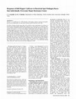 Research paper thumbnail of Response of Bell Pepper Cultivars to Bacterial Spot Pathogen Races that Individually Overcome Major Resistance Genes