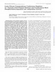 Research paper thumbnail of Cystic Fibrosis Transmembrane Conductance Regulator Cl− Channels with R Domain Deletions and Translocations Show Phosphorylation-dependent and -independent Activity