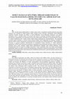 Research paper thumbnail of SOMUT OLMAYAN KÜLTÜREL MİRASIN KORUNMASI VE YAŞATILMASI BAĞLAMINDA İSTANBUL'DA AHİLİK HAFTASI KUTLAMALARI