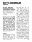 Research paper thumbnail of NADPH oxidase AtrbohD and AtrbohF genes function in ROS-dependent ABA signaling in Arabidopsis