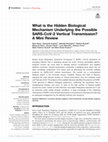 Research paper thumbnail of What is the Hidden Biological Mechanism Underlying the Possible SARS-CoV-2 Vertical Transmission? A Mini Review