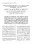 Research paper thumbnail of In Vitro Cytotoxicity and Mitochondrial Toxicity of Tenofovir Alone and in Combination with Other Antiretrovirals in Human Renal Proximal Tubule Cells