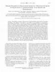 Research paper thumbnail of Molecular Recognition of Oligosaccharide Epitopes by a Monoclonal Fab Specific for Shigella flexneri Y Lipopolysaccharide:  X-ray Structures and Thermodynamics