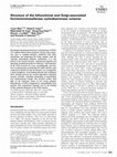 Research paper thumbnail of Structure of the bifunctional and Golgi-associated formiminotransferase cyclodeaminase octamer