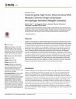 Research paper thumbnail of Colonizing the High Arctic: Mitochondrial DNA Reveals Common Origin of Eurasian Archipelagic Reindeer (Rangifer tarandus)