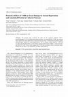 Research paper thumbnail of Protective Effect of T-588 on Toxic Damage by Serum Deprivation and Amyloid-β Protein in Cultured Neurons