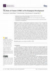 Research paper thumbnail of The Role of Cluster C19MC in Pre-Eclampsia Development