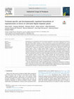 Research paper thumbnail of Trichome-specific and developmentally regulated biosynthesis of nepetalactones in leaves of cultivated Nepeta rtanjensis plants