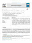 Research paper thumbnail of What is it like to do a visuo-spatial working memory task: A qualitative phenomenological study of the visual span task