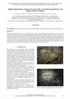 Research paper thumbnail of Three-Dimensional Survey of Guattari Cave with Traditional and Mobile Phone Cameras