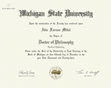 Research paper thumbnail of "Doctor of Philosophy" document from Michigan State University