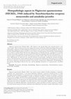 Research paper thumbnail of Histopathologic aspects in Plagioscion squamosissimus (HECKEL, 1940) induced by Neoechinorhynchus veropesoi, metacestodes and anisakidae juveniles