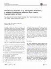 Research paper thumbnail of Oswaldocruzia lanfrediae n. sp. (Strongylida: Molineidae), a parasite of Leptodactylus paraensis Heyer (Anura: Leptodactylidae) in Brazil