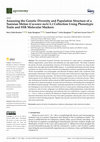 Research paper thumbnail of Assessing the Genetic Diversity and Population Structure of a Tunisian Melon (Cucumis melo L.) Collection Using Phenotypic Traits and SSR Molecular Markers