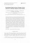 Research paper thumbnail of Pomological Study of Sweet Orange (Citrus sinensisL. Osbeck) Cultivars From Tunisia