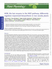 Research paper thumbnail of HDR, the last enzyme in the MEP pathway, differently regulates isoprenoid biosynthesis in two woody plants