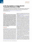 Research paper thumbnail of In Vitro Reconstitution of a Single-Stranded Transposition Mechanism of IS608