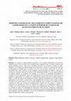 Research paper thumbnail of Simplificaciones en el Tratamiento Computacional de Condiciones en la Parte Superior de Tanques de Almacenamiento de Fluidos