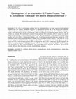 Research paper thumbnail of Development of an Interleukin-12 Fusion Protein That Is Activated by Cleavage with Matrix Metalloproteinase 9